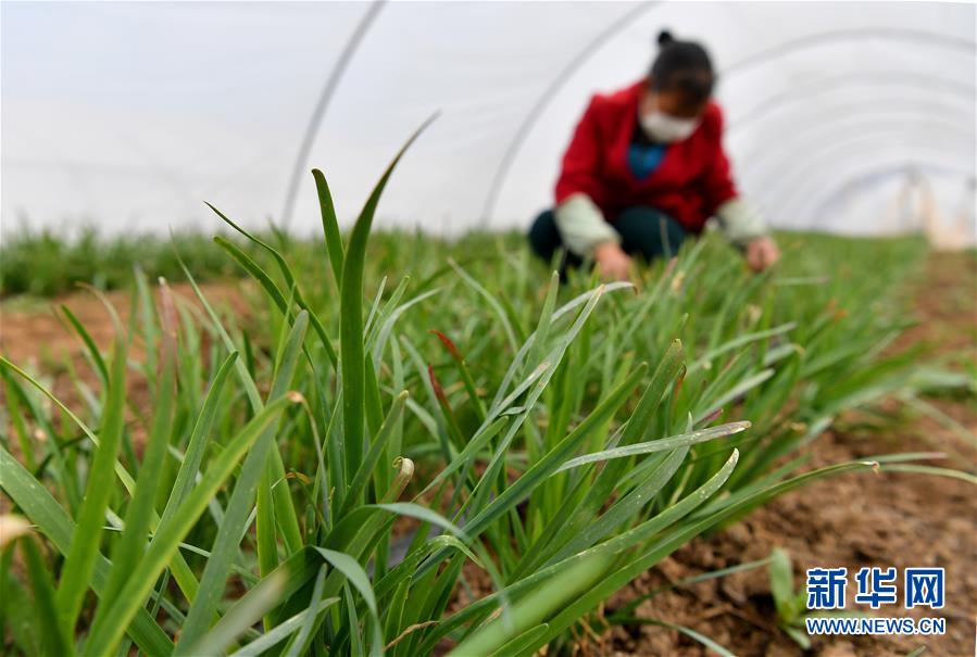 （圖文互動(dòng)）（3）&ldquo;春天到了，熟悉的生活正在慢慢回來(lái)&rdquo;&mdash;&mdash;陜西多地復(fù)產(chǎn)復(fù)工一線見(jiàn)聞