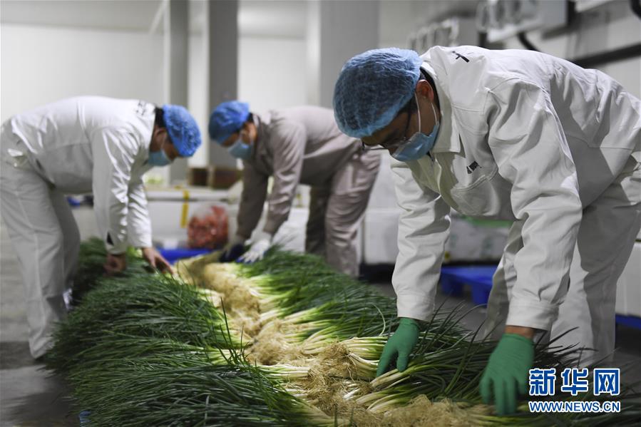 （圖文互動）（6）&ldquo;早一天復(fù)工，損失就少一點&rdquo;&mdash;&mdash;廣西以精準(zhǔn)防控推動復(fù)工復(fù)產(chǎn)一線見聞