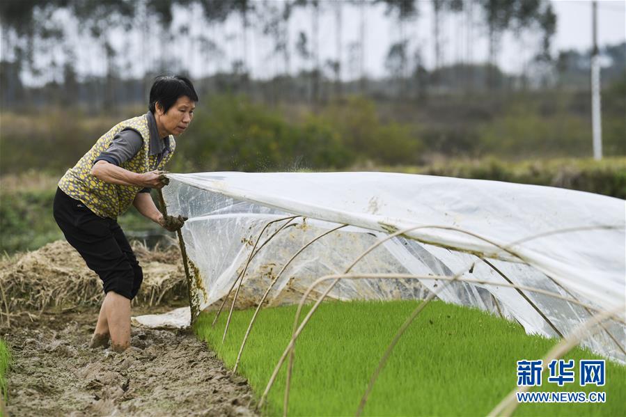 （圖文互動）（2）&ldquo;早一天復(fù)工，損失就少一點&rdquo;&mdash;&mdash;廣西以精準(zhǔn)防控推動復(fù)工復(fù)產(chǎn)一線見聞