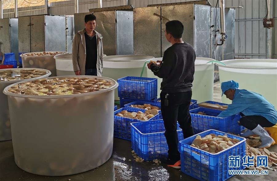 （決戰(zhàn)決勝脫貧攻堅&middot;圖文互動）掛牌督戰(zhàn)，一個都不能少&mdash;&mdash;江西確保剩余9.6萬貧困人口全部脫貧