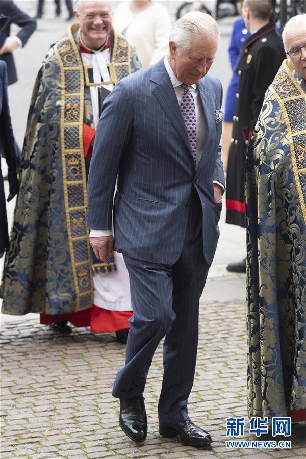 (國(guó)際)英國(guó)王儲(chǔ)查爾斯新冠病毒檢測(cè)呈陽性