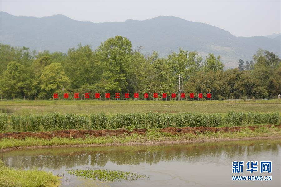 （圖文互動）（2）疏通產(chǎn)業(yè)鏈堵點 保障&ldquo;菜籃子&rdquo;供應(yīng)&mdash;&mdash;重慶養(yǎng)殖大區(qū)力促養(yǎng)殖業(yè)補損復(fù)產(chǎn)