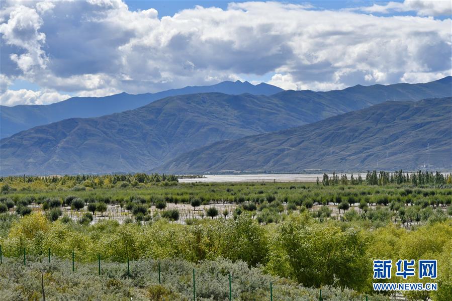 （圖文互動(dòng)）（4）&ldquo;今天的生活，就像夢(mèng)里夢(mèng)到那樣甜&rdquo;&mdash;&mdash;寫在西藏百萬(wàn)農(nóng)奴解放61周年之際