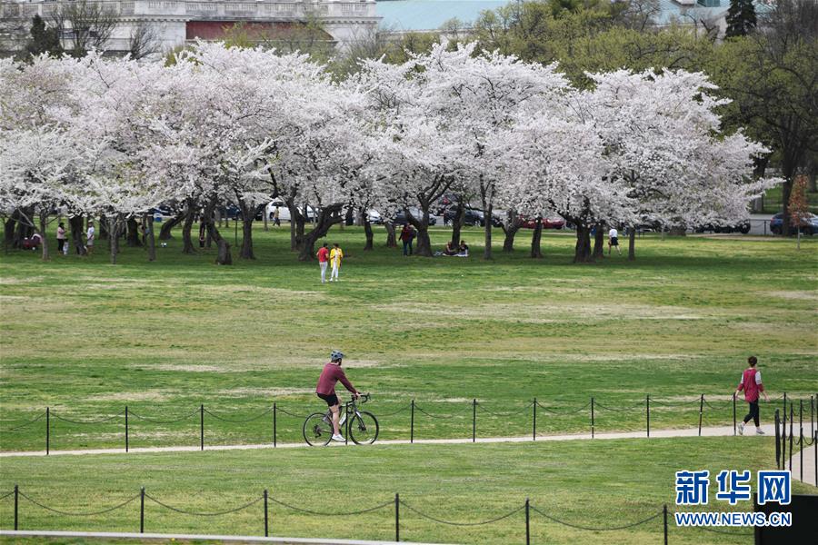 （國際疫情）（1）約翰斯&middot;霍普金斯大學(xué)：美國新冠肺炎確診病例超10萬例