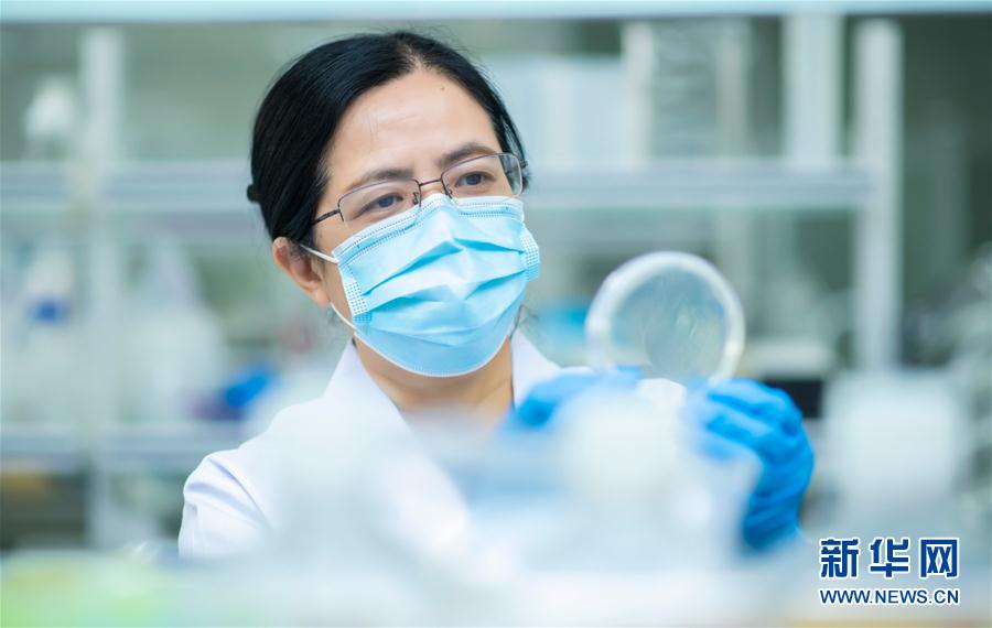 （習近平致敬的戰(zhàn)&ldquo;疫&rdquo;英雄&middot;科技工作者篇&middot;圖文互動）（4）他們，爭分奪秒與病魔較量