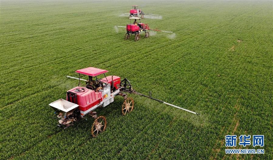 （新華全媒頭條&middot;圖文互動(dòng)）（3）春天，匯聚復(fù)蘇的力量&mdash;&mdash;寫在2020年首季中國經(jīng)濟(jì)收官之際