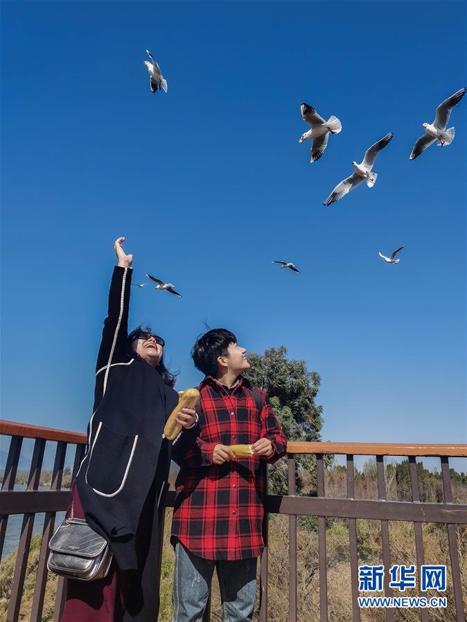 （一線抗疫群英譜&middot;圖文互動(dòng)）（1）大學(xué)生志愿者譚藝西：在武漢，我和媽媽共戰(zhàn)&ldquo;疫&rdquo;