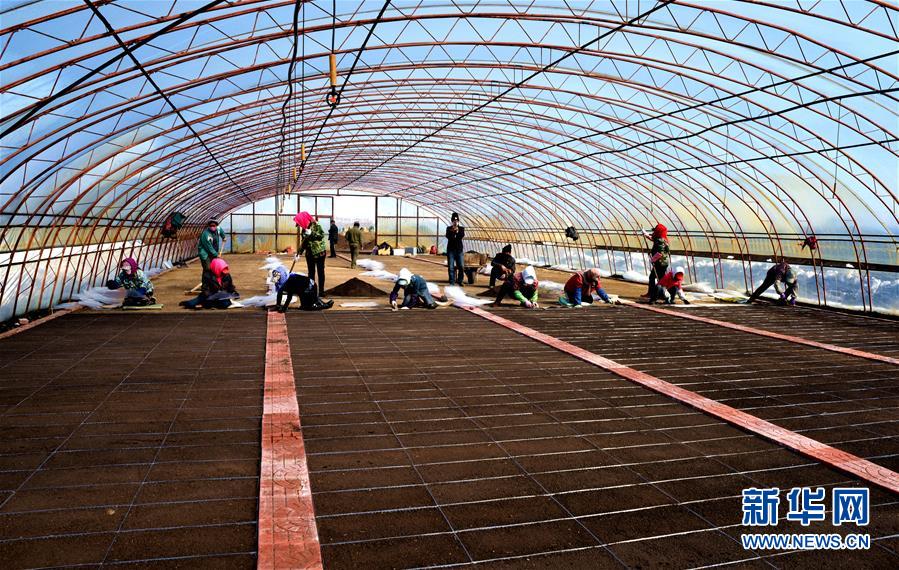 （在習(xí)近平新時(shí)代中國(guó)特色社會(huì)主義思想指引下&mdash;&mdash;新時(shí)代新作為新篇章&middot;習(xí)近平總書記關(guān)切事&middot;圖文互動(dòng)）（5）希望的田野，希望的春天&mdash;&mdash;各地農(nóng)業(yè)生產(chǎn)新動(dòng)態(tài)掃描