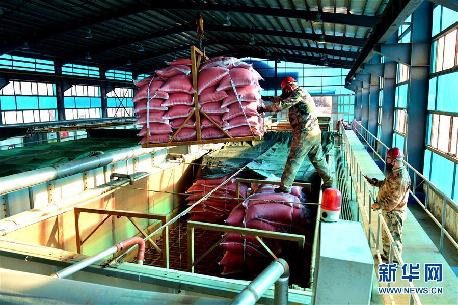 （在習(xí)近平新時(shí)代中國(guó)特色社會(huì)主義思想指引下&mdash;&mdash;新時(shí)代新作為新篇章&middot;習(xí)近平總書記關(guān)切事&middot;圖文互動(dòng)）（6）希望的田野，希望的春天&mdash;&mdash;各地農(nóng)業(yè)生產(chǎn)新動(dòng)態(tài)掃描