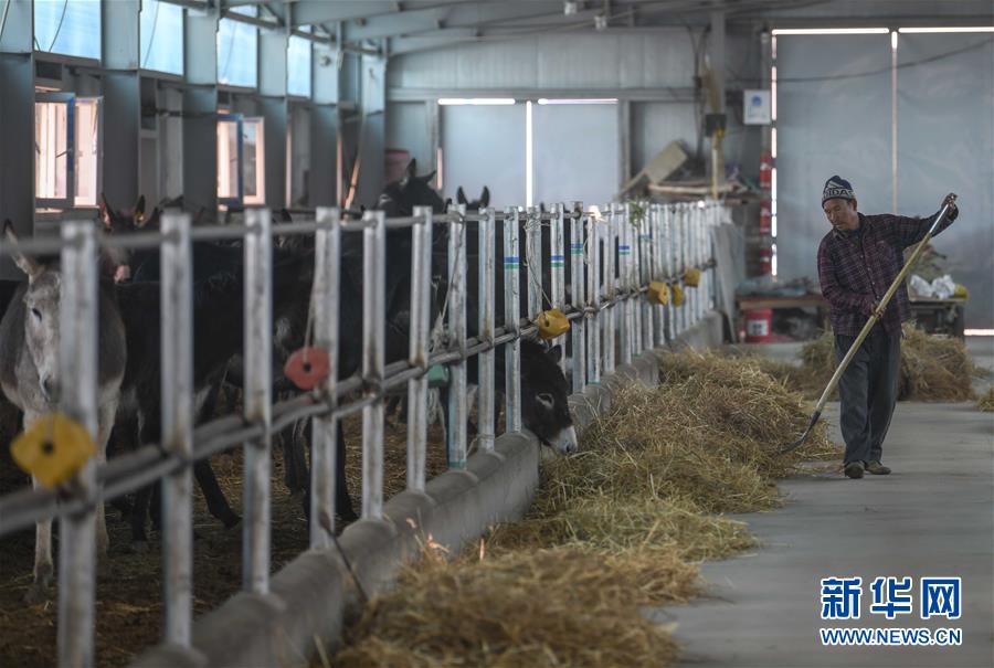 （決戰(zhàn)決勝脫貧攻堅&middot;圖文互動）（12）決戰(zhàn)昆侖&mdash;&mdash;新疆聚焦10個未摘帽縣展開深度貧困攻堅戰(zhàn) 