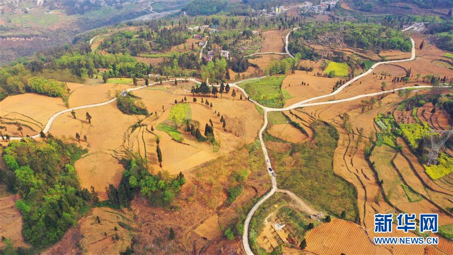 （決戰(zhàn)決勝脫貧攻堅(jiān)&middot;圖文互動(dòng)）（2）寄相思，償夙愿&mdash;&mdash;5封清明&ldquo;家書&rdquo;里的決戰(zhàn)決勝信念