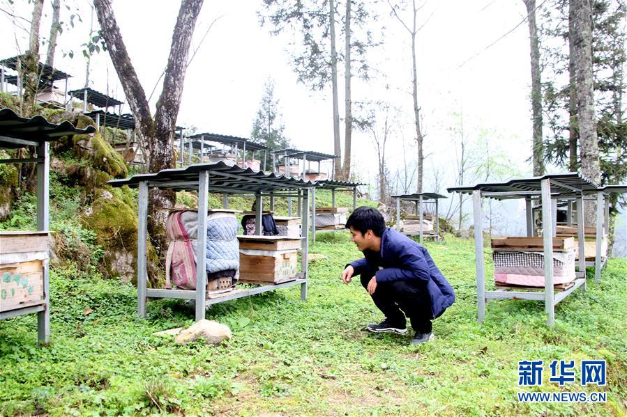 （決戰(zhàn)決勝脫貧攻堅(jiān)&middot;圖文互動(dòng)）（3）寄相思，償夙愿&mdash;&mdash;5封清明&ldquo;家書&rdquo;里的決戰(zhàn)決勝信念