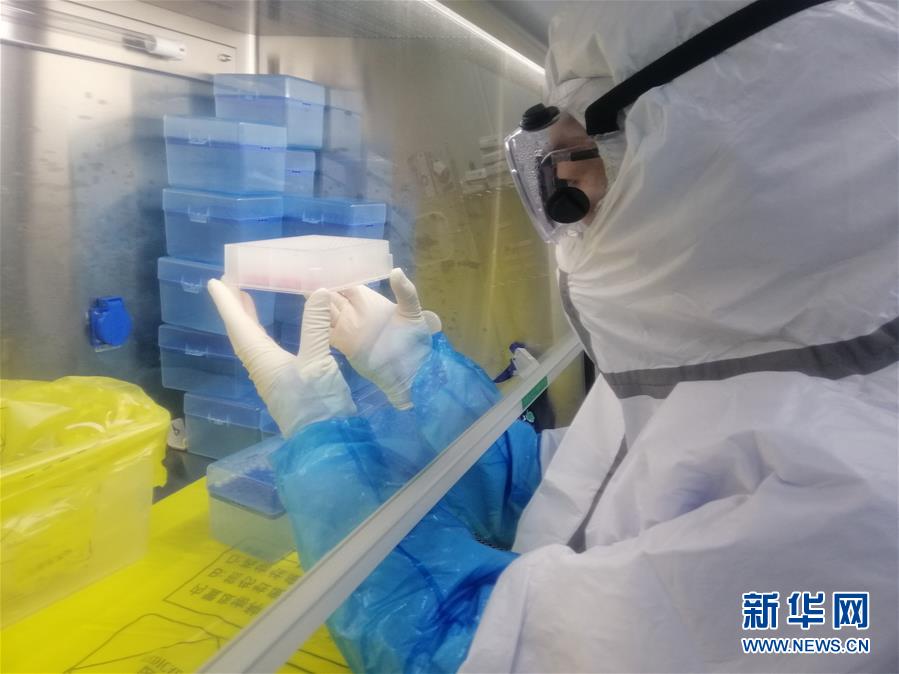 （一線抗疫群英譜&middot;圖文互動）（2）&ldquo;95后&rdquo;大學(xué)生郝鶯歌：退掉車票，她選擇直面病毒