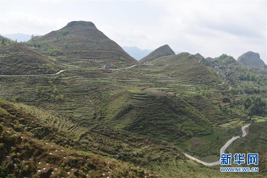 （決戰(zhàn)決勝脫貧攻堅(jiān)&middot;圖文互動）（1）逐項(xiàng)逐戶排查補(bǔ)齊脫貧攻堅(jiān)&ldquo;短板&rdquo;&mdash;&mdash;貴州晴隆縣扶貧一線工作見聞 