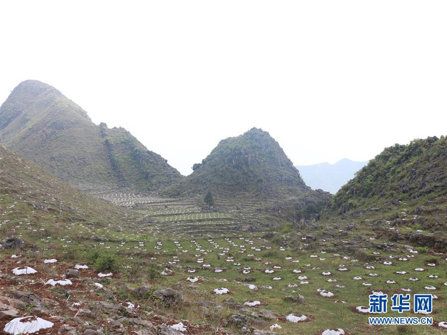 （決戰(zhàn)決勝脫貧攻堅(jiān)&middot;圖文互動）（4）逐項(xiàng)逐戶排查補(bǔ)齊脫貧攻堅(jiān)&ldquo;短板&rdquo;&mdash;&mdash;貴州晴隆縣扶貧一線工作見聞 