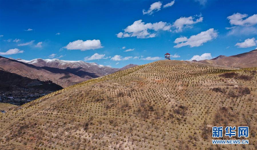 (新華全媒頭條·圖文互動(dòng))(6)三江之源見(jiàn)證中國(guó)奇跡——寫在玉樹(shù)地震10周年之際