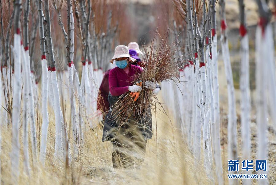 (新華全媒頭條·圖文互動(dòng))(14)三江之源見(jiàn)證中國(guó)奇跡——寫在玉樹(shù)地震10周年之際
