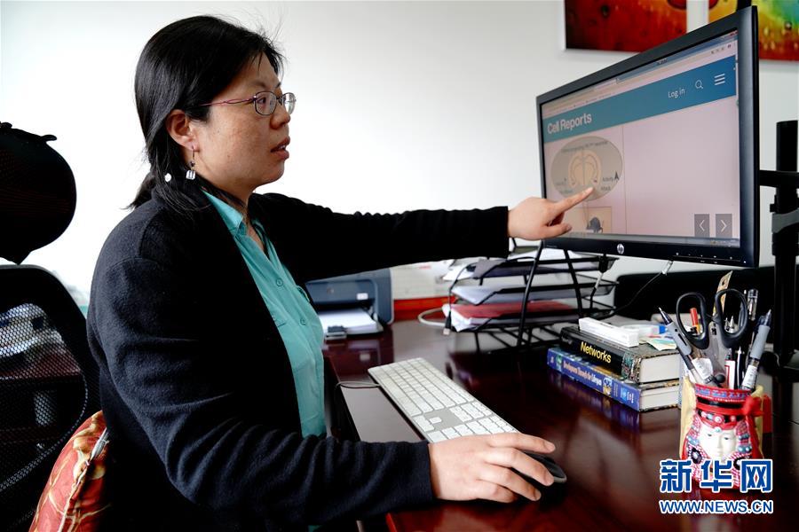 （圖文互動(dòng)）（1）攻擊行為如何被大腦控制？科學(xué)家在小鼠大腦中發(fā)現(xiàn)&ldquo;調(diào)節(jié)開關(guān)&rdquo;