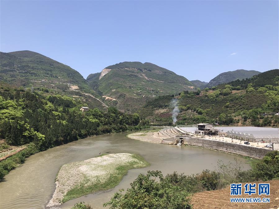 （決戰(zhàn)決勝脫貧攻堅(jiān)&middot;圖文互動）（1）野奶角又見春天