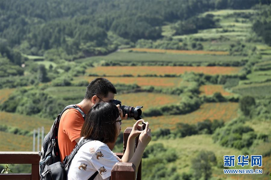 （圖文互動(dòng)）（1）這座小城，鐫刻下怎樣的&ldquo;世園印記&rdquo;&mdash;&mdash;北京世園會(huì)開(kāi)園一周年探訪延慶