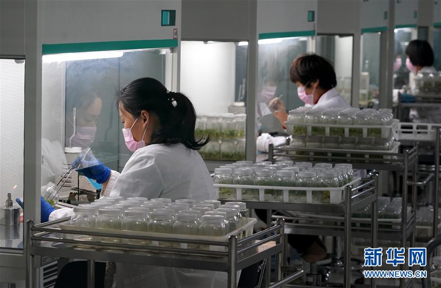 （來自一線的調(diào)查報告&middot;圖文互動）（6）搶出一個身位謀發(fā)展&mdash;&mdash;河南許昌經(jīng)濟復蘇見聞