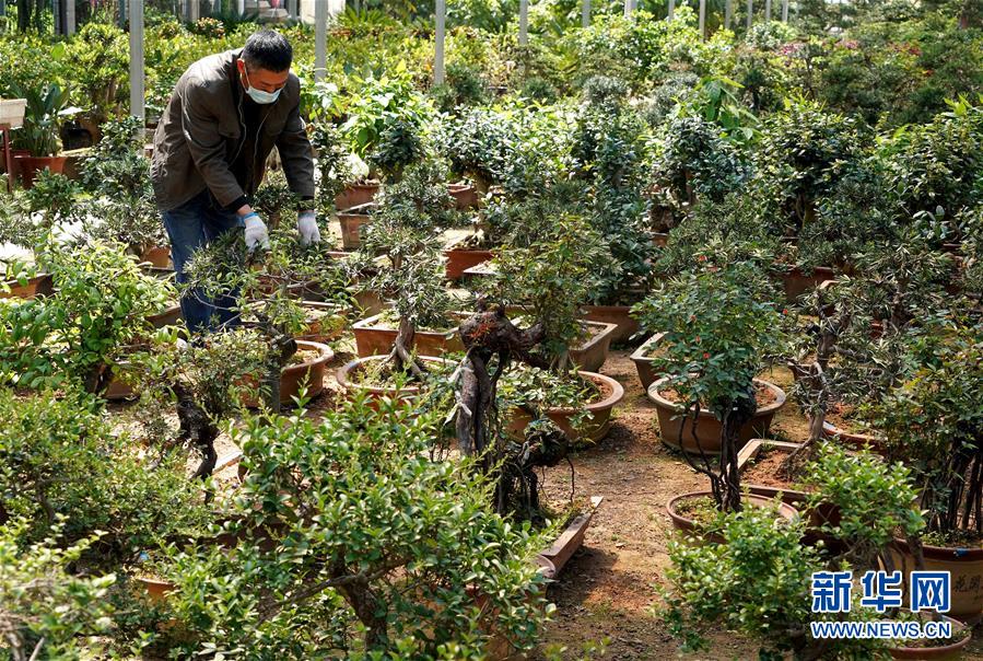 （來自一線的調(diào)查報告&middot;圖文互動）（7）搶出一個身位謀發(fā)展&mdash;&mdash;河南許昌經(jīng)濟復蘇見聞