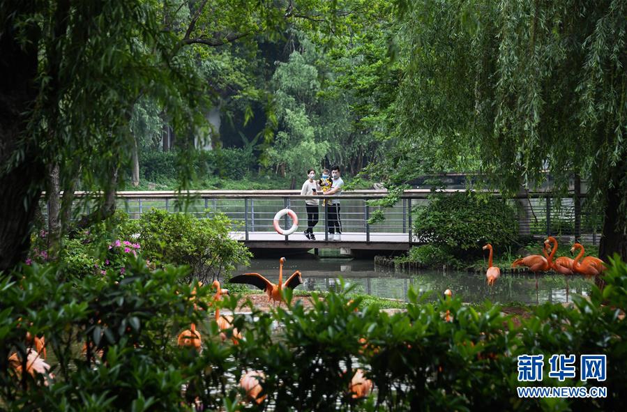 （在習(xí)近平新時(shí)代中國(guó)特色社會(huì)主義思想指引下&mdash;&mdash;新時(shí)代新作為新篇章&middot;習(xí)近平總書(shū)記關(guān)切事&middot;圖文互動(dòng)）（8）疫情防控不減壓　復(fù)工復(fù)產(chǎn)正加速&mdash;&mdash;武漢&ldquo;解封&rdquo;滿月觀察