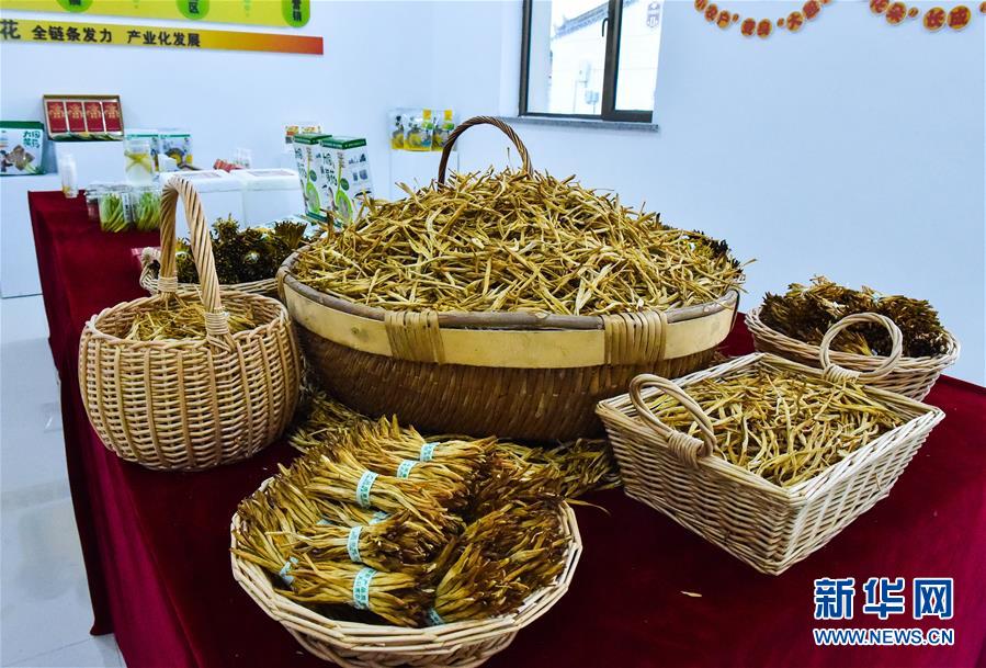 （新華全媒頭條&middot;圖文互動）（3）初夏，循著總書記的腳步探訪產(chǎn)業(yè)扶貧新事