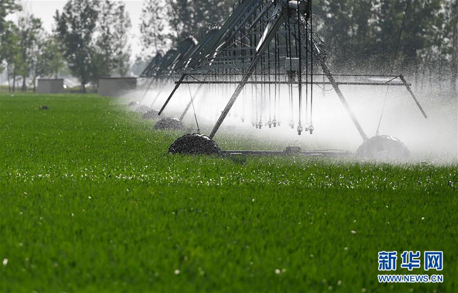 （在習(xí)近平新時代中國特色社會主義思想指引下&mdash;&mdash;新時代新作為新篇章&middot;習(xí)近平總書記關(guān)切事&middot;圖文互動）（3）新農(nóng)事、新希望&mdash;&mdash;夏收前田間新動態(tài)掃描