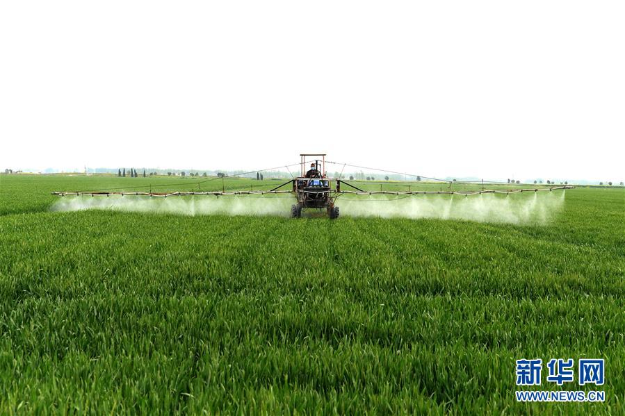 （在習(xí)近平新時代中國特色社會主義思想指引下&mdash;&mdash;新時代新作為新篇章&middot;習(xí)近平總書記關(guān)切事&middot;圖文互動）（10）新農(nóng)事、新希望&mdash;&mdash;夏收前田間新動態(tài)掃描