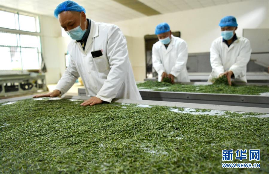 （新華全媒頭條&middot;圖文互動）（22）從人民中汲取磅礴力量&mdash;&mdash;習(xí)近平總書記同出席2020年全國兩會人大代表、政協(xié)委員共商國是紀(jì)實(shí)