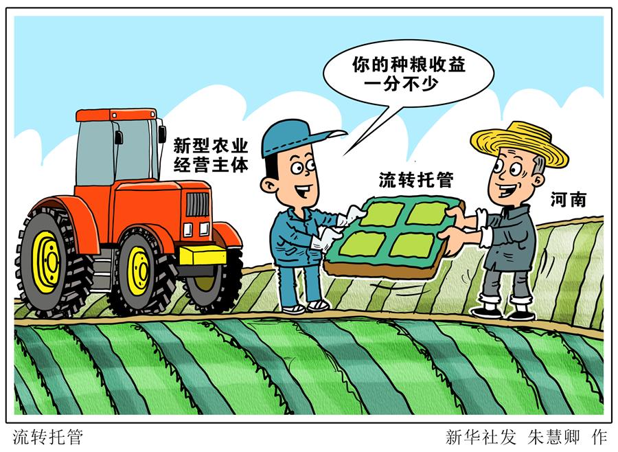 （圖表&middot;漫畫）［關注三夏］流轉(zhuǎn)托管