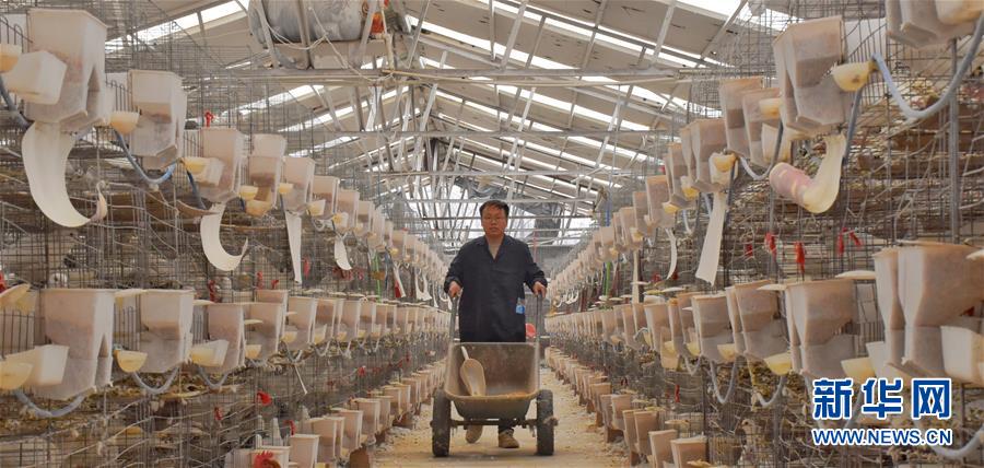 (新華全媒頭條·兩會(huì)精神看落實(shí)·圖文互動(dòng))(1)努力讓群眾看到變化得到實(shí)惠——落實(shí)全國(guó)兩會(huì)精神持續(xù)保障和改善民生述評(píng)