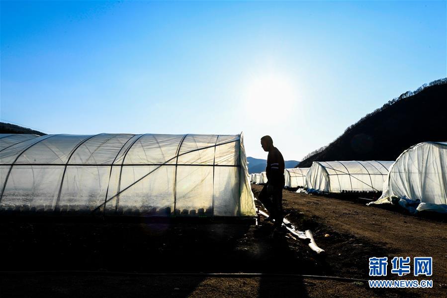 （決戰(zhàn)決勝脫貧攻堅(jiān)&middot;圖文互動(dòng)）（10）長白山下唱新篇&mdash;&mdash;吉林延邊州脫貧攻堅(jiān)觀察