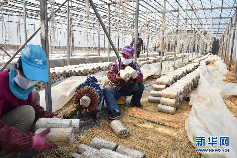 （決戰(zhàn)決勝脫貧攻堅(jiān)&middot;圖文互動(dòng)）（4）長白山下唱新篇&mdash;&mdash;吉林延邊州脫貧攻堅(jiān)觀察