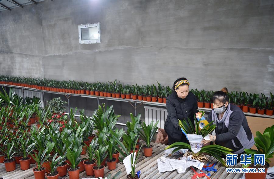 （決戰(zhàn)決勝脫貧攻堅(jiān)&middot;圖文互動(dòng)）（11）長白山下唱新篇&mdash;&mdash;吉林延邊州脫貧攻堅(jiān)觀察