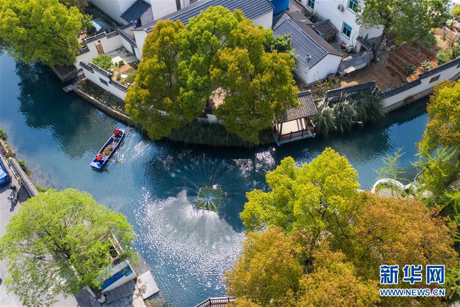 （新華全媒頭條&middot;圖文互動(dòng)）（6）從&ldquo;藍(lán)圖規(guī)劃&rdquo;到美麗&ldquo;現(xiàn)實(shí)畫卷&rdquo;&mdash;&mdash;長(zhǎng)三角一體化高質(zhì)量發(fā)展一年間