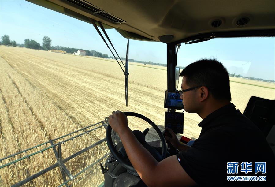 （關(guān)注三夏&middot;圖文互動(dòng)）（2）麥田&ldquo;后浪&rdquo;的農(nóng)事新說(shuō)