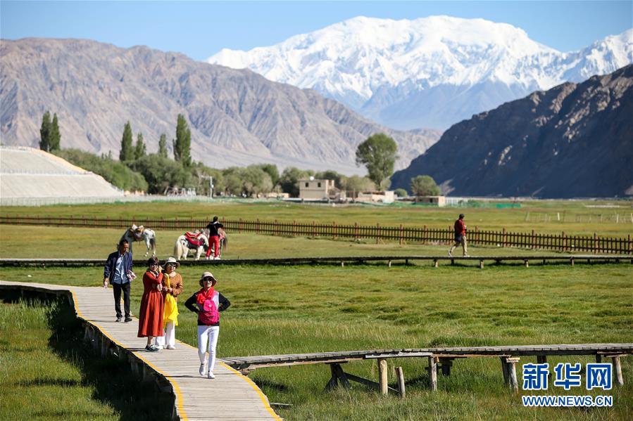 （新華全媒頭條&middot;圖文互動）（15）飛吧，&ldquo;帕米爾雄鷹&rdquo;！