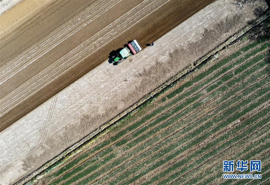 （新華全媒頭條&middot;圖文互動(dòng)）（11）中國(guó)北斗 服務(wù)全球&mdash;&mdash;寫(xiě)在我國(guó)完成北斗全球衛(wèi)星導(dǎo)航系統(tǒng)星座部署之際