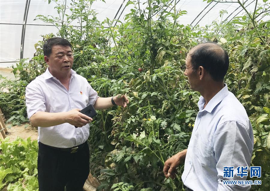 （決戰(zhàn)決勝脫貧攻堅&middot;圖文互動）（2）魚漁兼授 志智雙扶&mdash;&mdash;窮溝溝&ldquo;菜富記&rdquo;