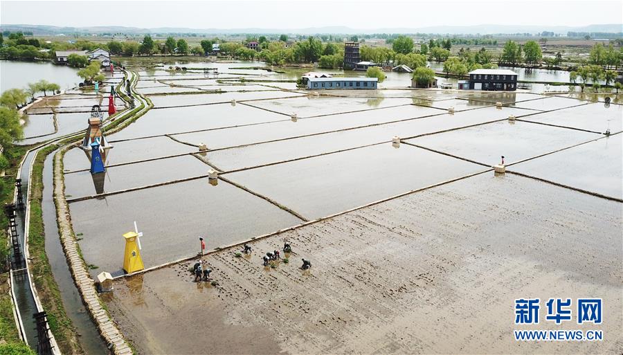 （在習(xí)近平新時(shí)代中國(guó)特色社會(huì)主義思想指引下&mdash;&mdash;新時(shí)代新作為新篇章&middot;習(xí)近平總書記關(guān)切事&middot;圖文互動(dòng)）（1）讓每一寸耕地都成為豐收的沃土&mdash;&mdash;我國(guó)加強(qiáng)耕地保護(hù)推進(jìn)&ldquo;藏糧于地&rdquo;