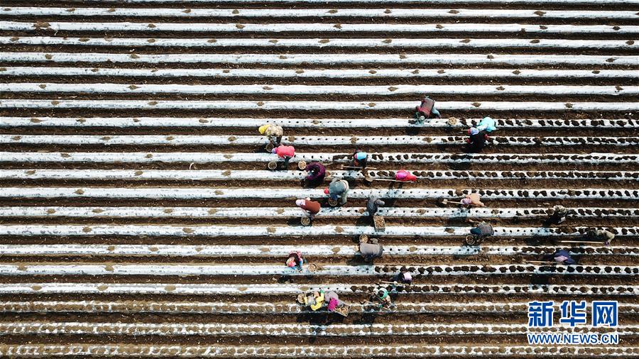 （在習(xí)近平新時(shí)代中國(guó)特色社會(huì)主義思想指引下&mdash;&mdash;新時(shí)代新作為新篇章&middot;習(xí)近平總書記關(guān)切事&middot;圖文互動(dòng)）（2）讓每一寸耕地都成為豐收的沃土&mdash;&mdash;我國(guó)加強(qiáng)耕地保護(hù)推進(jìn)&ldquo;藏糧于地&rdquo;