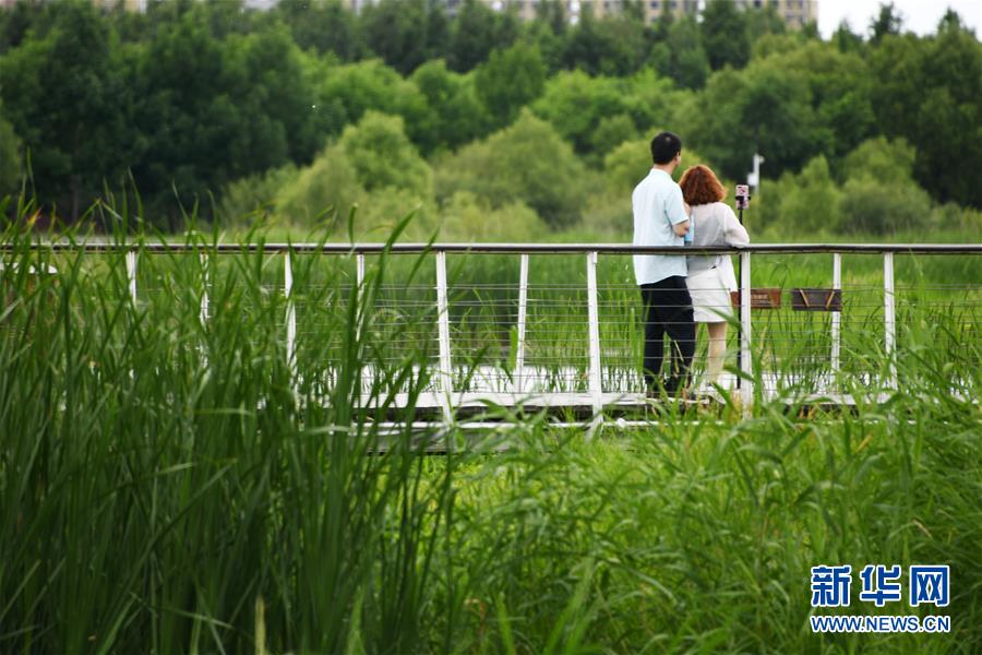 (社會(huì))(3)樂享端午假期