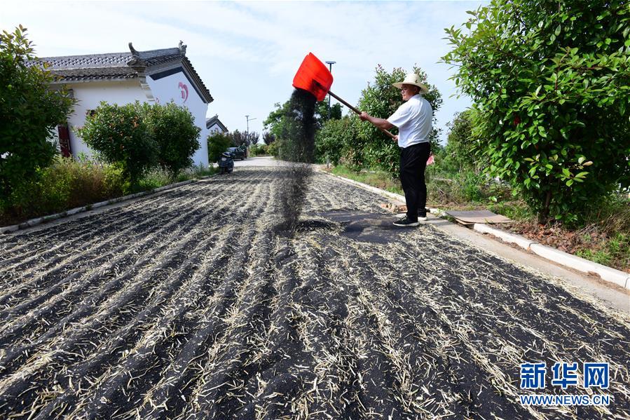 (決戰(zhàn)決勝脫貧攻堅(jiān)·圖文互動)(1)貧困戶老楊的人生“三級跳”