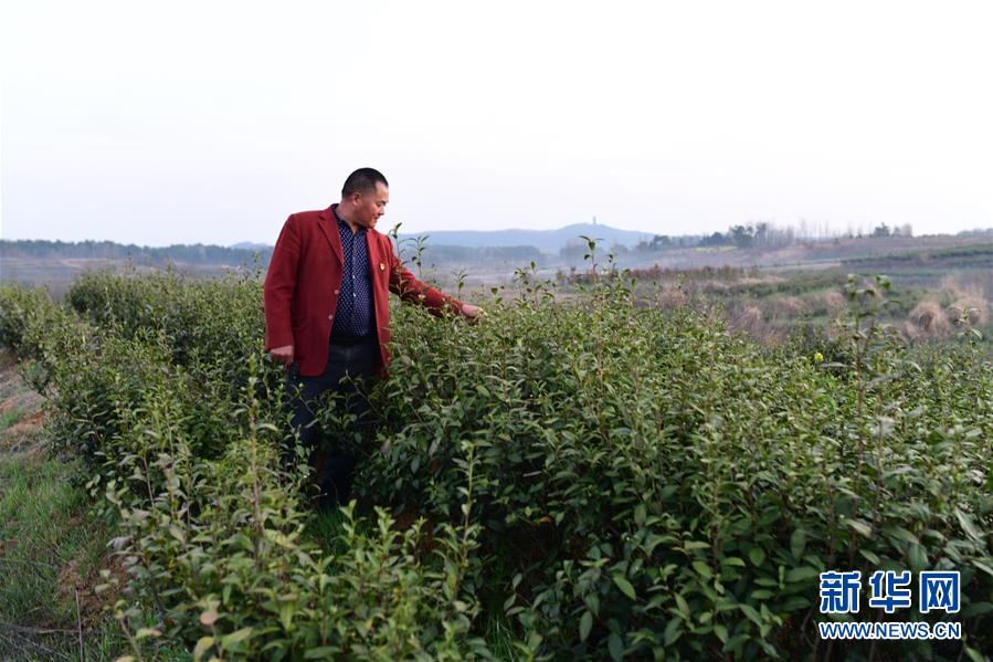 (決戰(zhàn)決勝脫貧攻堅(jiān)·圖文互動)(3)貧困戶老楊的人生“三級跳”