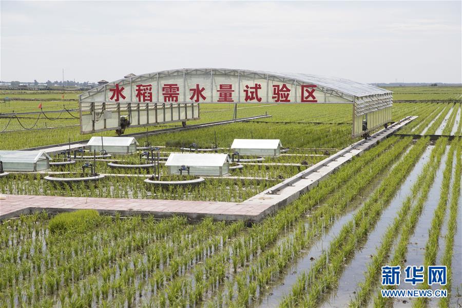 （走向我們的小康生活&middot;圖文互動）（6）端牢&ldquo;中國飯碗&rdquo; 播種綠色小康