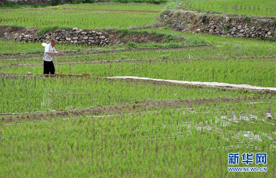(新華全媒頭條·走向我們的小康生活·圖文互動(dòng))(11)大山深處有“新家”——大別山村繪出現(xiàn)代版“富春山居圖”