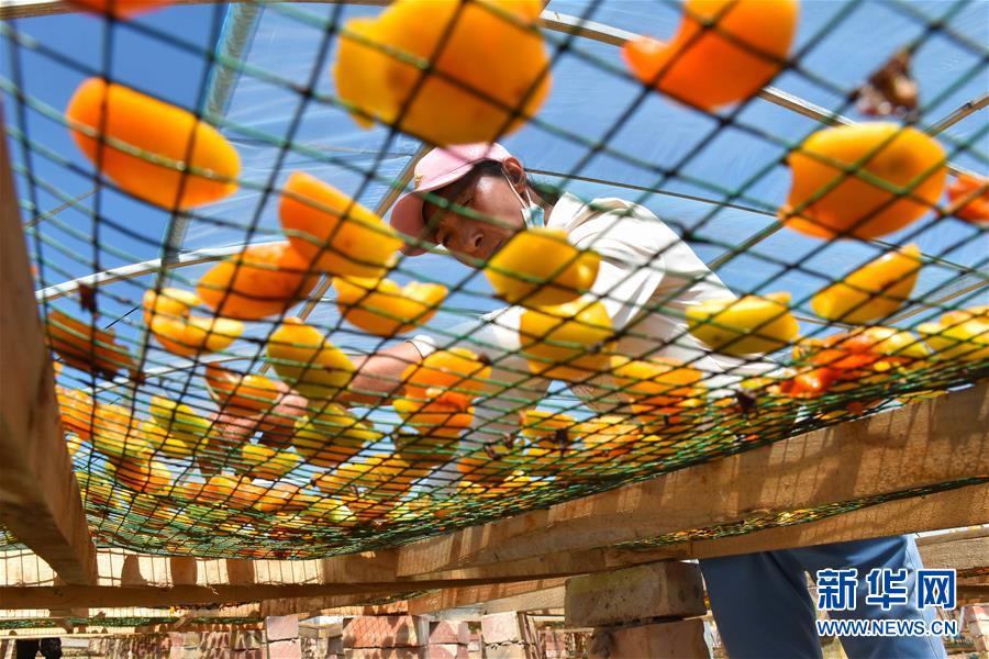 （決戰(zhàn)決勝脫貧攻堅(jiān)&middot;圖文互動(dòng)）（1）新疆&ldquo;杏鄉(xiāng)&rdquo;：杏果飄香 走出深閨助脫貧