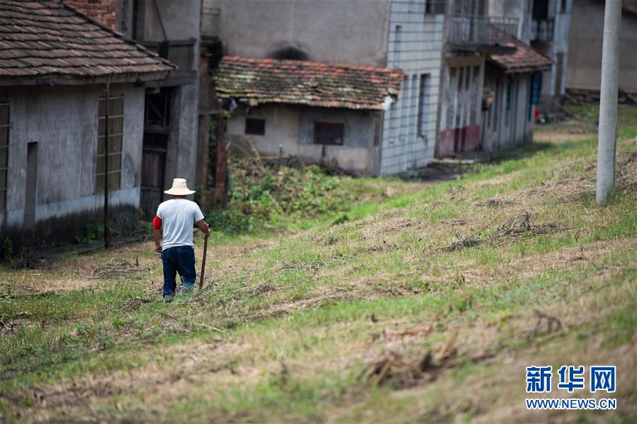 （防汛抗洪&middot;圖文互動(dòng)）（3）鏖戰(zhàn)南洞庭